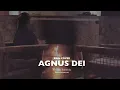 Download Lagu Erin - Agnus Dei | Worth  (Cover by Vvednue Indonesia)