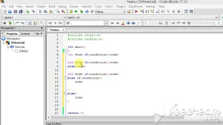 If statement selection structure conditional in C Programming