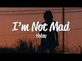 Download Lagu Halsey - I'm Not Mad (Lyrics)