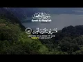 Download Lagu Murotal Quran Pengantar Tidur, Menenangkan Hati dan Perlindungan Diri - ALAA AQEL
