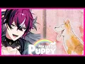 Lagu WAAAA PROTECT DOGGY!!! [MY LITTLE PUPPY]【NIJISANJI EN | Doppio Dropscythe】