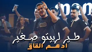 ادهـم القـاق طير لـربيتـو صـغير بعمرك لا تعـاشر نـدل 