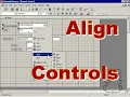 Aligning and Sizing Controls on Access Forms DataPig