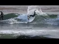 PLEASURE POINT - SC OLE WOLSBECK