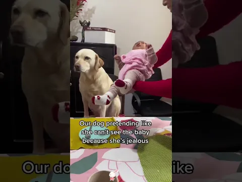 It’s funnier when you watch it couple times🤣🤣#funny #fail #foryou #fyp #funnyvideos