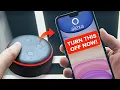 Don t Buy Alexa Build Your Own in 3MINUTES Create a Virtual Assistant with Python Python Project