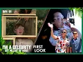 Lagu 10 new Celebs take a leap into Jungle Life | I'm A Celebrity... Get Me Out of Here! 2025