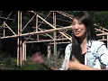 Architectural Engineering vs Architecture - What s the Difference