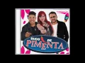 Download Lagu Forró Suco de Pimenta - CD  Promocional 2017
