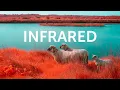 Modifying my Camera to see the World Differently - INFRARED PHOTOGRAPHY
