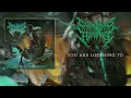 Download Lagu CADAVEROUS HUMANITY - ABNORMAL TOXINS (FT. DENNIS SCHULER - GUTRECTOMY) [SINGLE] (2021) SW EXCLUSIVE