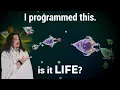 Download Lagu What is the definition of Life? And are The Bibites Alive?