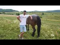 Download Lagu VIAȚA LA ȚARĂ | CUM ARATĂ O DIMINEAȚĂ LA MICA NOASTRĂ FERMĂ!