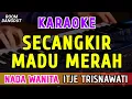Lagu SECANGKIR MADU MERAH - KARAOKE NADA WANITA || ITJE TRISNAWATI