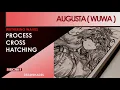 Augusta Wuthering Waves Process Cross Hatching