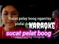 Lagu Sucat pelat boong karaoke