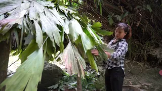 Solo bushcraft, Make cabin on stone, Survival instinct - Survival in the forest Ep.1