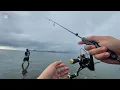 Download Lagu Ajing game | Light game | Ultralight fishing ep. 12