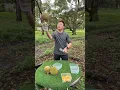 Download Lagu Must Try!  The Most Popular Durian Store in Malacca - Fruit Cutting Skills - Malaysian Street Food