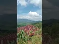 Download Lagu Vibesnya buat betah🍃 #explore #viewindah #pemandanganindah #masukberanda #montains