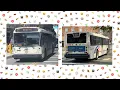 NJ Transit 80J GATES AVENUE CATOR AVE MONTGOMERY ST NABI 416 15