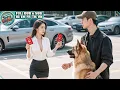Download Lagu Gadis Tak Sengaja Sewa Pria Jadi Pacar, Tak Disangka Dia CEO Tersembunyi Yang Menempel Tiap Malam
