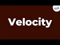 Download Lagu What is Velocity? -  Full Concept of Velocity - Physics | Infinity Learn