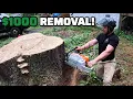 Download Lagu We Got Hired To Remove The Biggest Stump I have Ever Seen! - Day In The Tree Business