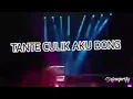 Download Lagu DJ TANTE CULIK AKU DONG ORIGINAL 2019   MUSIC VIDEO
