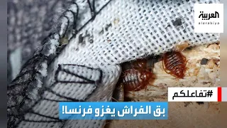                                                                                دندنها