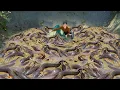 Download Lagu Catching A Lot Of Catfish - Use Horse Drawn Cart Transport Many Catfish Go To Market Sell