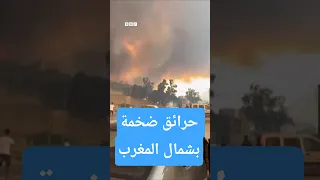 شفشاون تشتعل أكبر حرائق يشهدها المغرب هذا العام 
