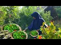 Download Lagu Maak gratis Seblak Coet Chili uit eigen tuin | Wonen in het dorp