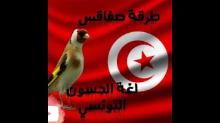 لغة الحسون التونسي طرقة صفاقس 