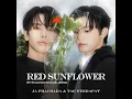 Red Sunflower (เพลงประกอบซีรีส์ “The Love Never Sets ฉากนั้น...ยังเป็นเธอ”) - Ja Phachara & Tae Weerapat