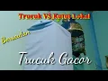 Download Lagu Kutut Vs Trucuk