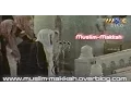 Download Lagu Shuraim 1419 Al Ahzab - Sabaa