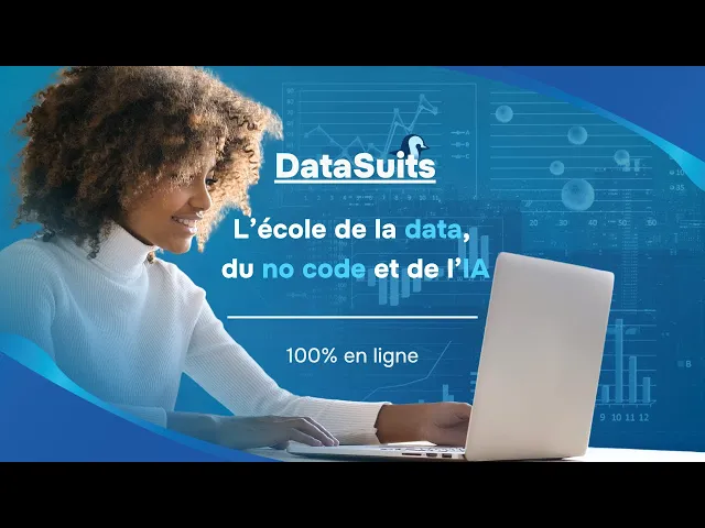 DataSuits &ndash; L&rsquo;&eacute;cole de la Data, du No Code et de l&rsquo;Intelligence Artificielle