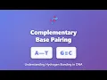Complementary Base Pairing in DNA A-T and G-C Hydrogen Bonds Explained