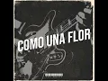 Como una Flor - Jay Kalyl
