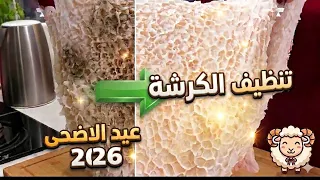تنظيف الكرشة في دقائق بطريقتين بدون تعب!  🐏 تعقيم كامل وصفات عيد الأضحى2026