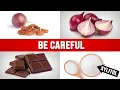 10 Foods That Can Kill Your Dog