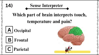 Part 1 Top 25 MCQS For NEET MDCAT Nursing Students Human Brain Quiz