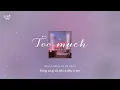 Lagu [Vietsub + Pinyin] Too Much - Kinkis