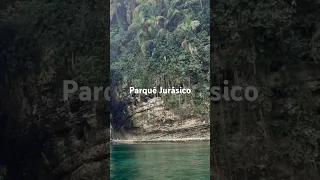 Holy pterodactyl’s! #travel #ocean #explore #prehistoric