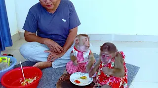 Baby Monkey Enjoying Fruit With Mom #monkey