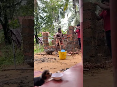 വീട്ടിൽ പുതിയൊരു അംഗം വന്നു 🥰#shorts