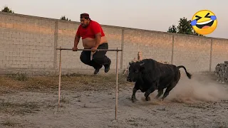 تحدي لا تضحك      أغبي اللقطات والمواقف اللي هتشوفها في حياتك دندنها