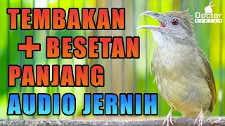 pancingan tembakan kapas tembak katem untuk mastering dengan audio jernih cocok untuk burung kicau