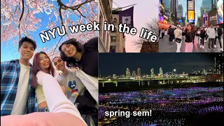 NYU WEEK in MY LIFE spring semester freshman